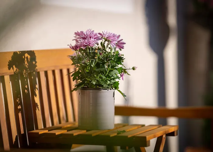 Sonntagsberg Hof Familie Fiedler بيت ضيافة باد والترزدورف